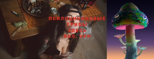 MDMA Premium VHQ Козельск