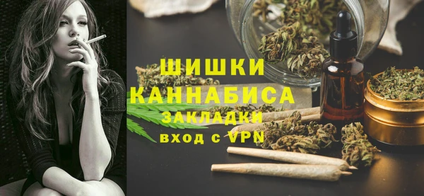 стафф Козловка