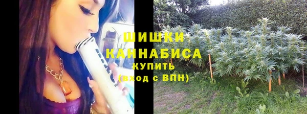 стафф Козловка