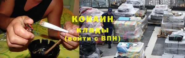 стафф Козловка