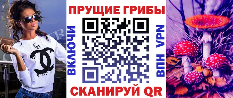 Галлюциногенные грибы GOLDEN TEACHER  kraken ссылки  Новосибирск 